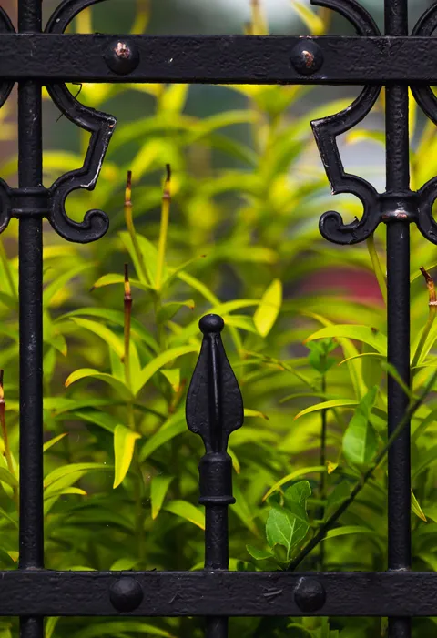 Fleuron en fer forgé entouré de feuillage de jardin