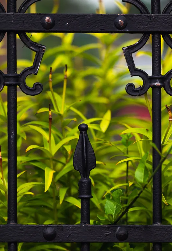 Fleuron en fer forgé entouré de feuillage de jardin
