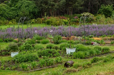 Paire d'obélisques en fer sombre ornés de volutes, sans plante, installés face à face dans un jardin