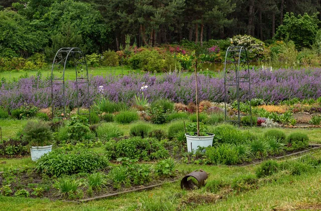 Paire d'obélisques en fer sombre ornés de volutes, sans plante, installés face à face dans un jardin
